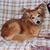 Linda Loo's profile image