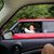 Pacci Wohlmuth's profile image