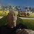 Marv Joss's profile image