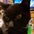 Brian Binkley's profile image