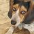 Charlyne Ann Harrington's profile image