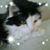 Mary Pfaff's profile image