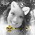 Megs Burks's profile image