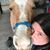 Amber Barker's profile image