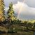 Suzanne Brunke's profile image