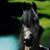 Laure Kruse's profile image