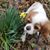 Peggy Savani's profile image