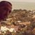 דוד שאול's profile image