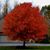 Elaine Hurd Dolan's profile image