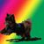 Karen Evans Mustafa's profile image