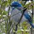 Judy Woolums's profile image