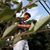 Jovan Jorgensen's profile image