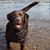 Kelly Ritz Cramatte's profile image