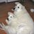 Donna Kessler's profile image