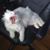 Jerald Thorp's profile image
