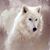 Athena Tracey's profile image