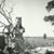 Susan Sanford's profile image
