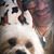 Hector Martinez Rosales's profile image