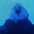 Shawn Wellman's profile image