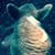 Barb Goodman's profile image