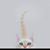 Love Less's profile image