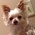 Belle Johnson's profile image