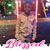 Lacroya Russell's profile image