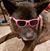 David Baggs's profile image
