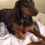 Karen Willy-Haskins's profile image