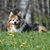 Carla Walker Rickabaugh's profile image