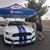 Stevan Pavlovic's profile image