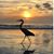 Peggy Sherwood Welch's profile image