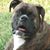 Lola Heck's profile image