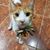 Samantha B. Fajatin's profile image