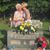 Heather Snider Jordan's profile image