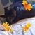 Renea Michelle's profile image