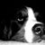 Sandi Sweet's profile image