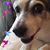 LaurieAnn Kennavane's profile image