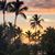 Mary Netrock's profile image