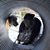 Joe Becher's profile image