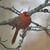 Sue Lhok's profile image