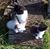 Roberta Rinehart's profile image