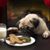 Barbara Tinney's profile image