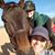 Melissa Walker's profile image