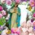 Susy Bonilla's profile image
