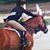 Colleen Martin's profile image