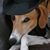 Connie Thompson's profile image