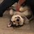 Aaron Peters's profile image