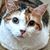 Aimee Jackson's profile image