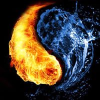 Lee P's profile image